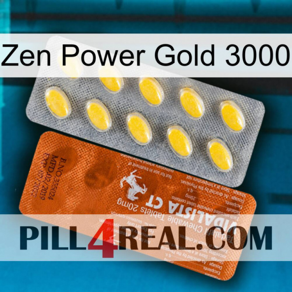 Zen Power Gold 3000 42